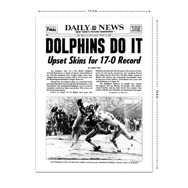 dolphins 1973