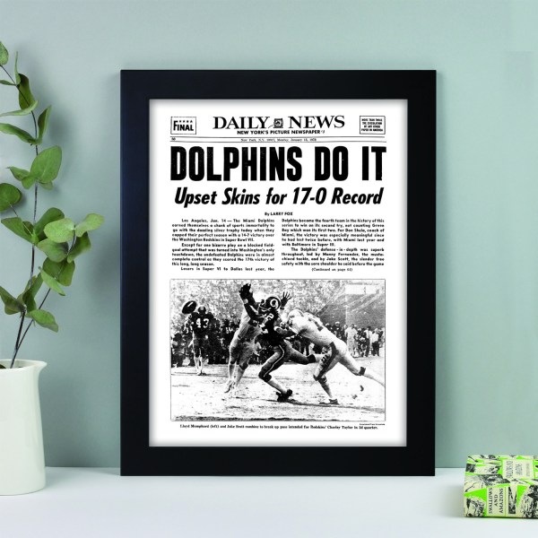 dolphins 1973